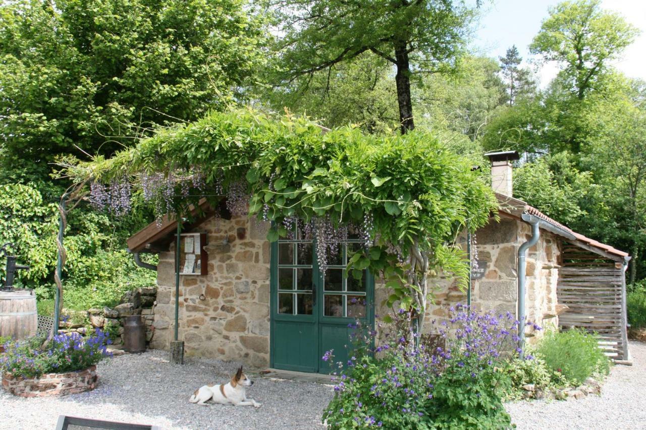 Domaine Les Teuilleres Bed & Breakfast Lacam-d'Ourcet ภายนอก รูปภาพ