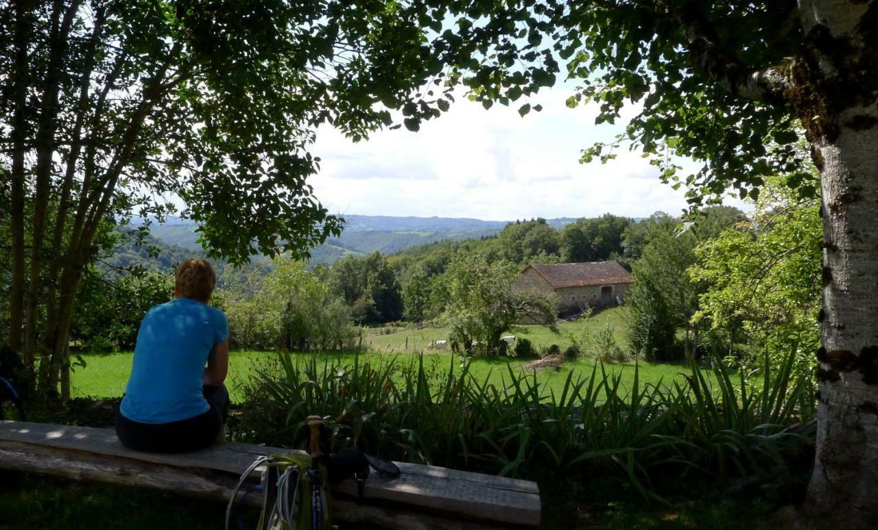 Domaine Les Teuilleres Bed & Breakfast Lacam-d'Ourcet ภายนอก รูปภาพ